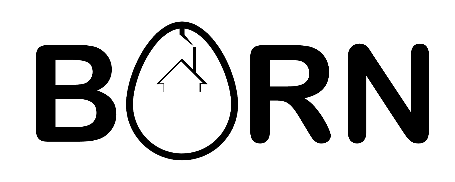 Проект Born